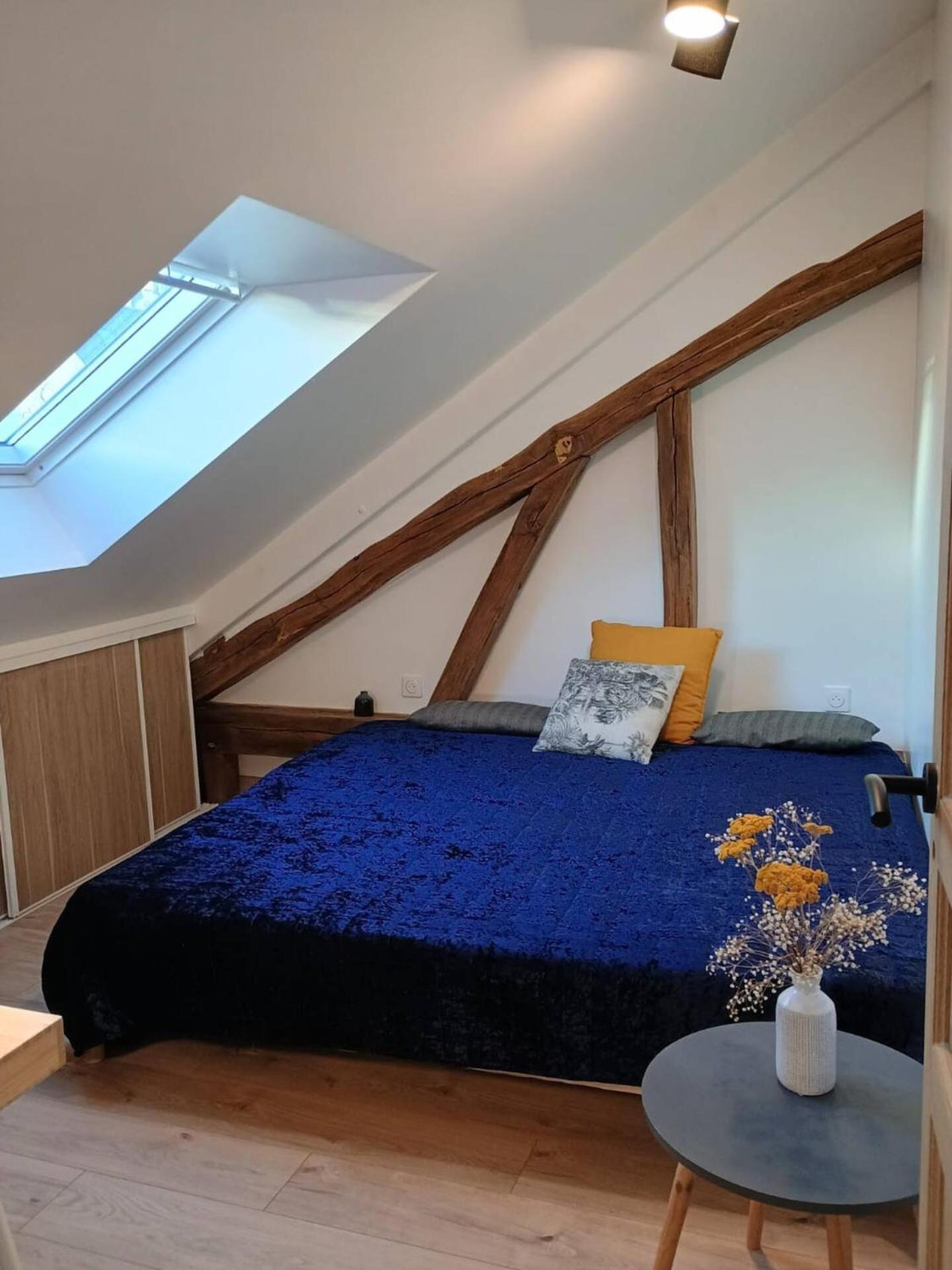 Domaine De Charme Au Coeur D'Orleans Classe 3 Etoiles - Bords De Loire - 21 Couchages Avec Parkings Prives ภายนอก รูปภาพ